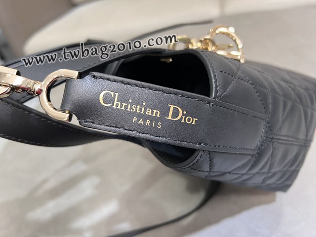 Dior专柜2025新款迪奥高仿原单Toujours竖版手袋牛皮休闲手提女包 djfk1297